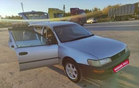 Toyota Corolla, 2001 год, 275 000 рублей, 21 фотография