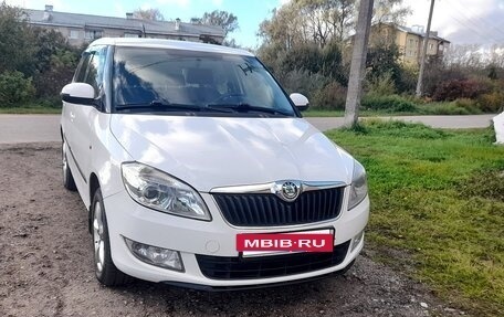 Skoda Fabia II, 2012 год, 720 000 рублей, 15 фотография