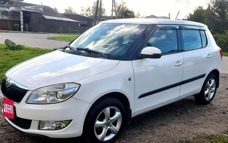Skoda Fabia II, 2012 год, 720 000 рублей, 17 фотография