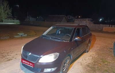 Skoda Fabia II, 2013 год, 510 000 рублей, 1 фотография