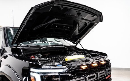 Ford F-150, 2024 год, 14 135 000 рублей, 14 фотография