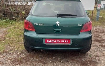 Peugeot 307 I, 2005 год, 345 000 рублей, 1 фотография