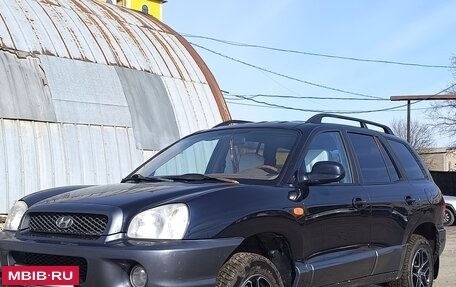 Hyundai Santa Fe III рестайлинг, 2004 год, 465 000 рублей, 13 фотография