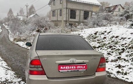 Toyota Corolla, 2003 год, 620 000 рублей, 1 фотография