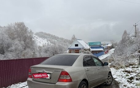 Toyota Corolla, 2003 год, 620 000 рублей, 2 фотография