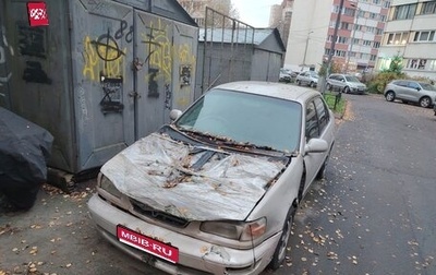 Toyota Corolla, 1995 год, 60 000 рублей, 1 фотография